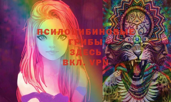 амф Баксан