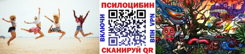 нарко площадка как зайти  купить закладку  Хадыженск  Псилоцибиновые грибы прущие грибы 